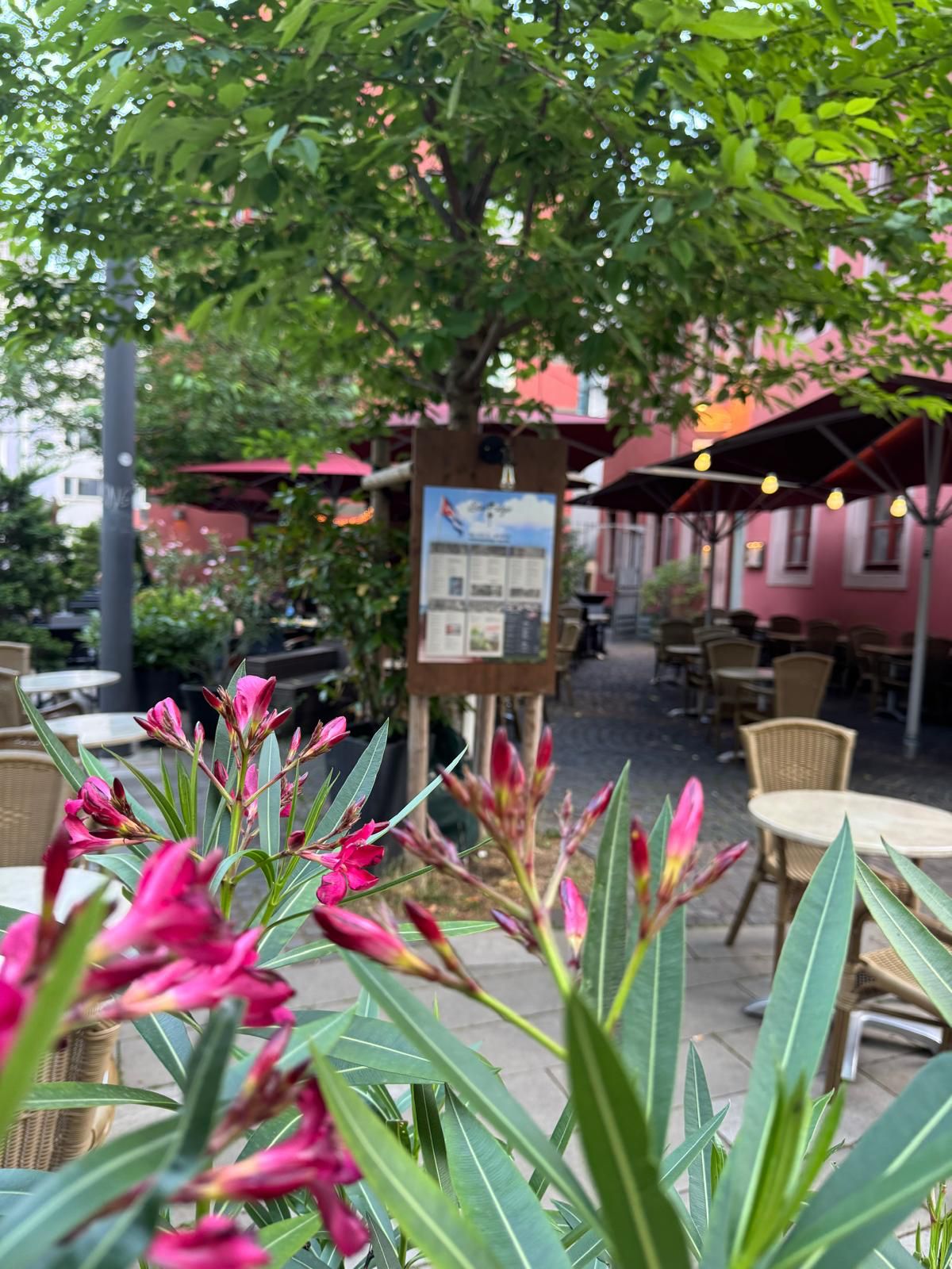 Terrasse mit Blumen und Blick in den Hof